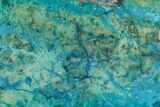 Polished Blue River Chrysocolla Slice - Arizona #167539-1
